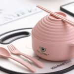 Bowl Eco-Friendly Wheat Straw Instant Noodles Soup Salad Rice Microwave Japanese 4 Color Lunch Box