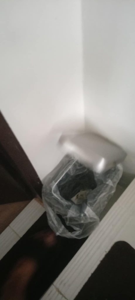 543397384 1244156421060361 1532630028027613934 n