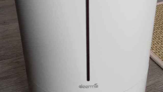 555446960 1261680162641320 5145880200853183225 n