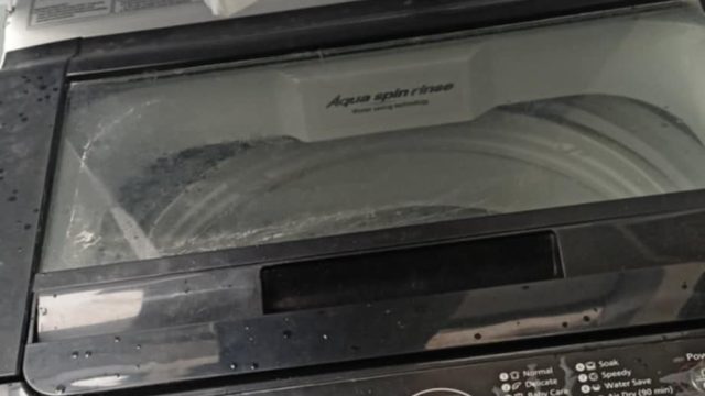 585919039 1313457744130228 254242846782529604 n