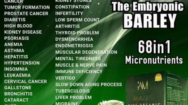 122767562 1442179009312591 6516993701753274399 n