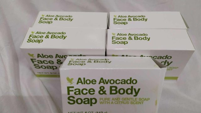 482029642 1108923994581525 3415288831381718747 n