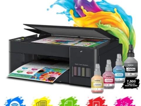 482250279 1166427885275572 6093650217293795388 n