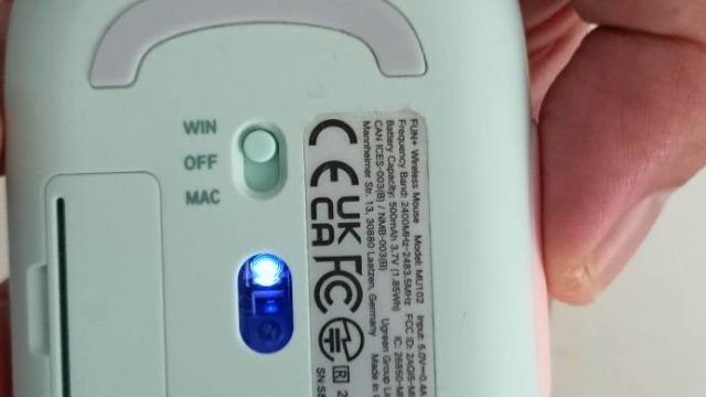 mouse